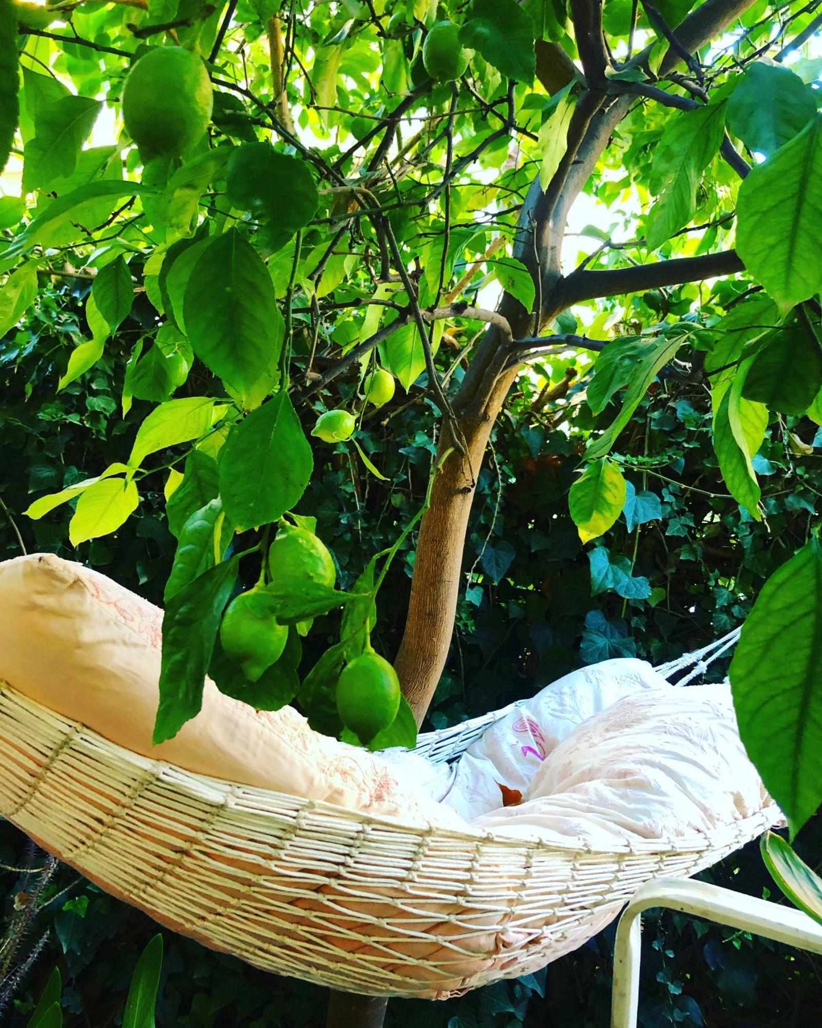 Penelope B&B Palermo Exteriör bild