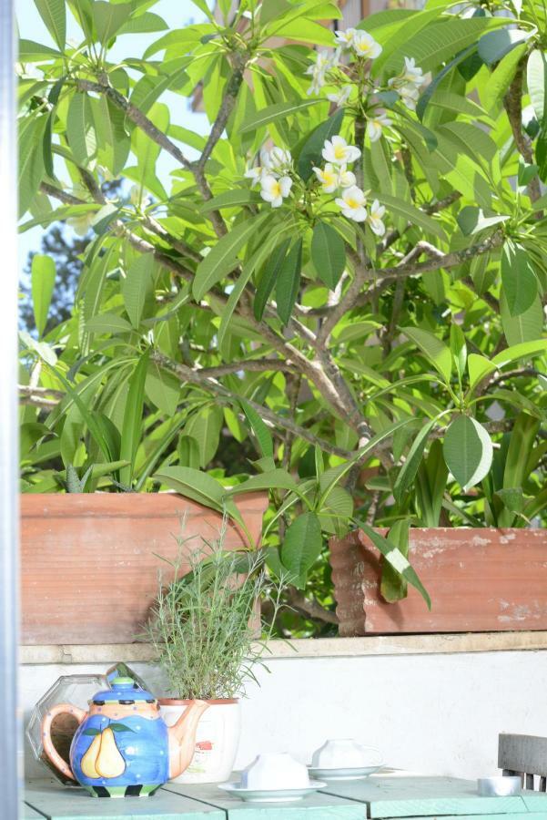 Penelope B&B Palermo Exteriör bild